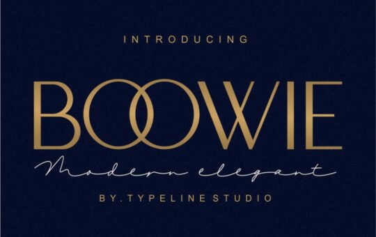 Boowie-Sans-Serif-Font.jpg