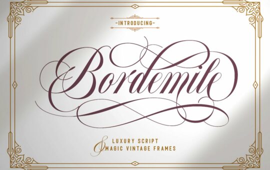 Bordemile-Luxury-Script-Font-1.jpg