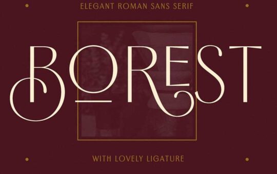 Borest-Elegant-Roman-Sans-Serif-1.jpg