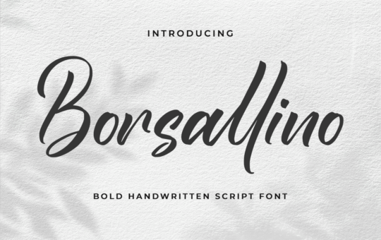 Borsallino-Bold-Script-Font-1-2.png