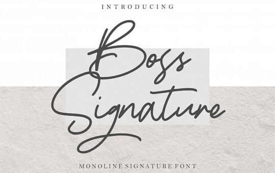 Boss-Signature-Font.jpg