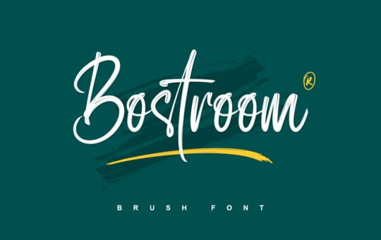 Bostroom-Brush-Script-Font-1.jpg