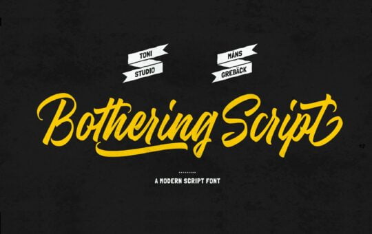 Bothering-Script-Font.jpg