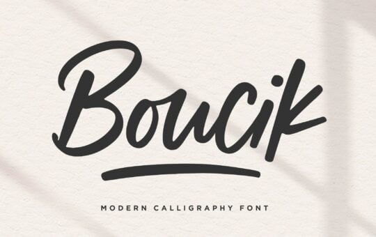 Boucik-Bold-Calligraphy-Font-1.jpg
