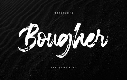 Bougher-Script-Brush-Font-1.jpg