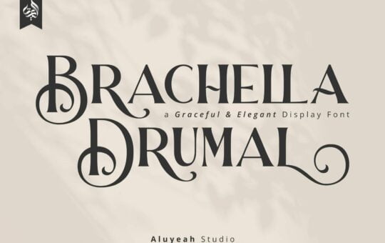 Brachella-Drumal-Serif-Font-1.jpg