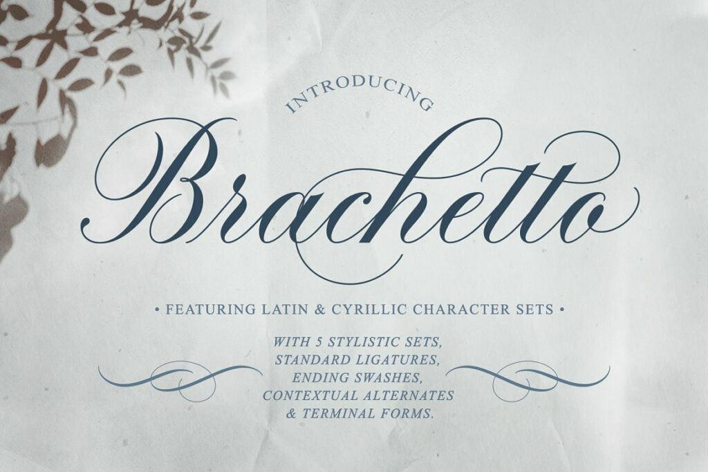 Brachetto-Script-Calligraphy-Font-1.jpg