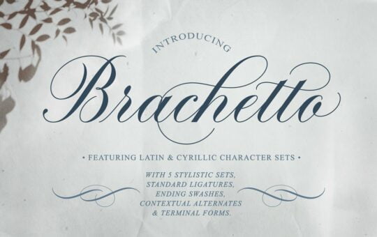 Brachetto-Script-Calligraphy-Font-1.jpg