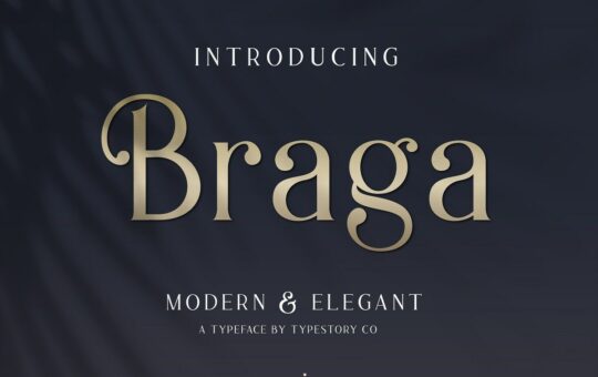 Braga-Serif-Font-1.jpg