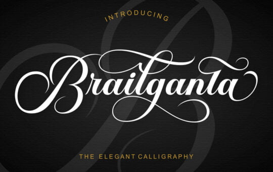 Brailganta-Calligraphy-Font-1.jpg