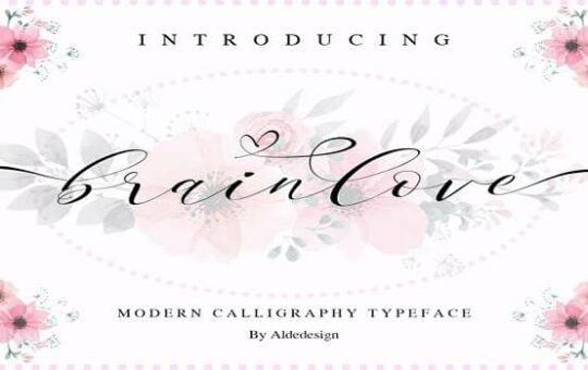 Brainlove-Font.jpg