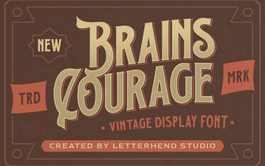 Brains-Courage-Serif-Font-1.jpg