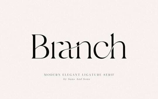 Branch-Font.jpg