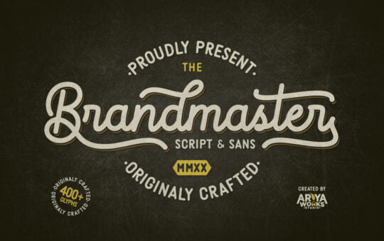 Brandmaster-Monoline-Script-Font-1.jpg