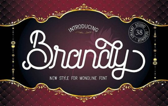 Brandy-Monoline-Font-Duo.jpg