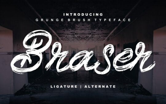 Braser-Brush-Script-Font-1.jpg
