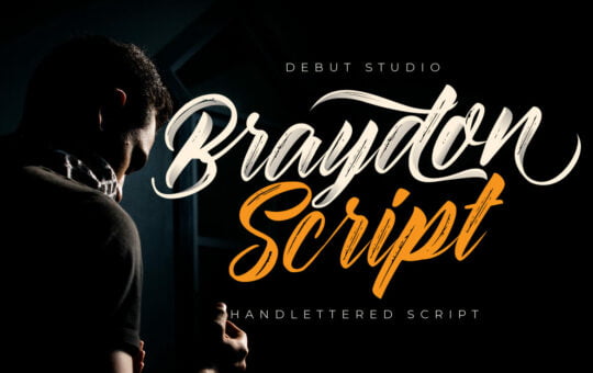 Braydon-Modern-Brush-Font-1.jpg