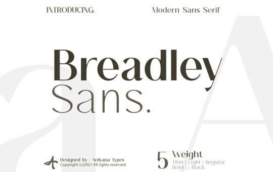 Breadley-Sans-Bold-Sans-Serif-Font-1.jpg