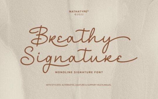 Breathy-Signature-Monoline-Font-1.jpg