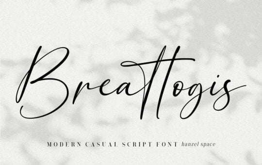 Breattogis-Modern-Script-Font-1.jpg