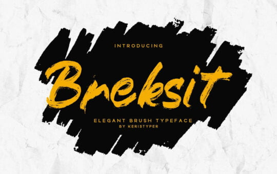Breksit-Brush-Script-Font-1.jpg