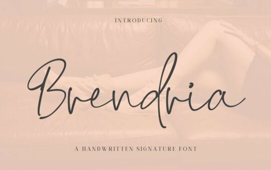 Brendria-Handwritten-Signature-Font-1.jpg