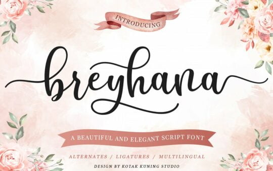 Breyhana-beautiful-Script-Font-1.jpg