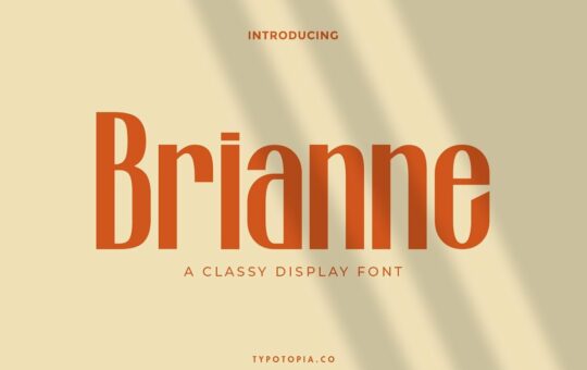 Brianne-Classy-Display-Font.jpg