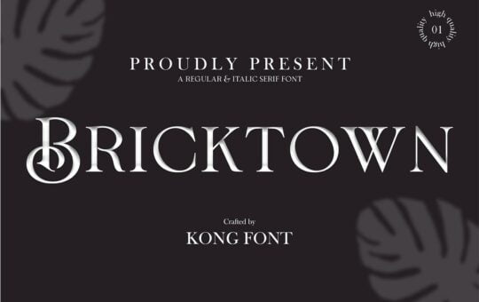 Bricktown-Classic-Elegant-Serif-Font.jpg