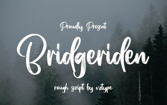 Bridgeriden-Brush-Script-Font-1.jpg