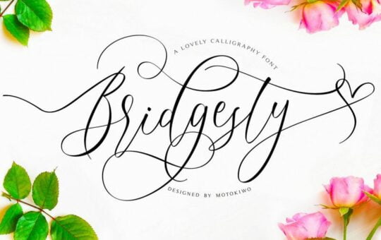 Bridgesty-Script-Font.jpg