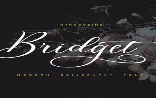 Bridget-Script-Font.jpg