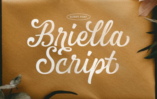 Briella-Script-Font.jpg