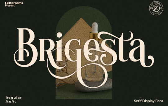 Brigesta-Serif-Font-1.png