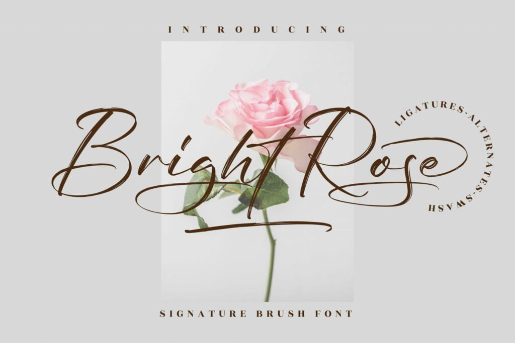 Bright-Rose-Brush-Script-Font-1-scaled.jpg