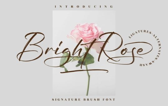 Bright-Rose-Brush-Script-Font-1-scaled.jpg