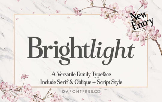 Brightlight-Modern-Font-Duo-1.jpg