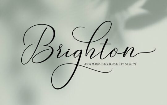 Brighton-Script-Calligraphy-Font-1.jpg
