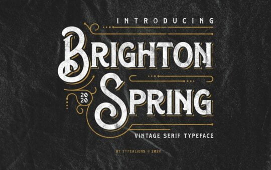Brighton-Spring-Serif-Typeface-1.jpg