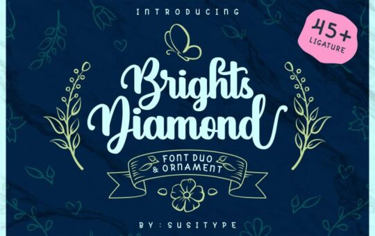 Brights-Diamond-Script-Font.jpg
