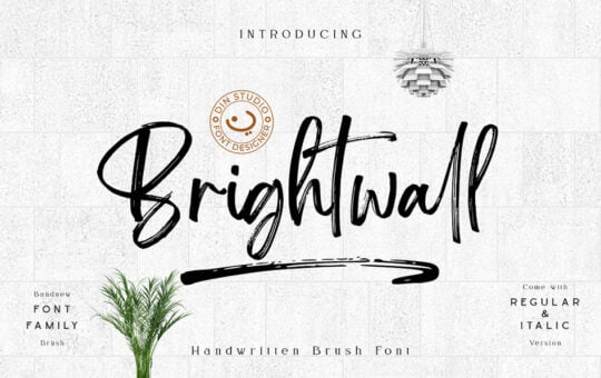 Brightwall-Brush-Script-Font-1.jpg