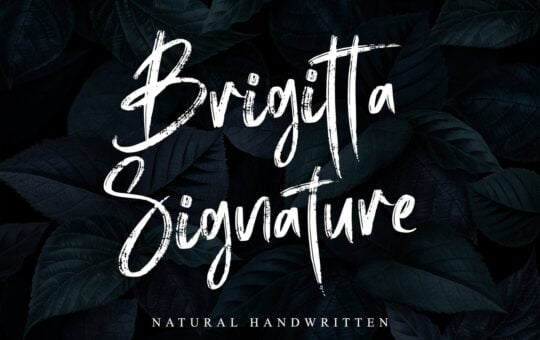 Brigitta-Signature-Brush-Font-1.jpg