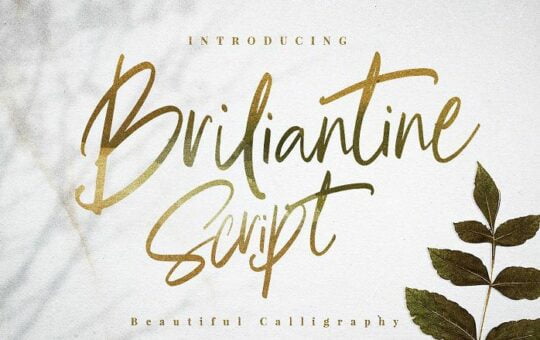 Briliantine-Script-Font.jpg