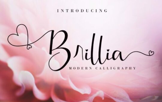 Brillia-Modern-Calligraphy-Font-1.jpg