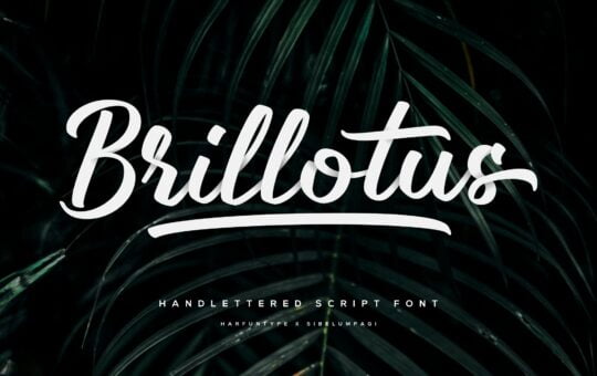 Brillotus-Hand-lettered-Script-Font-1.jpg