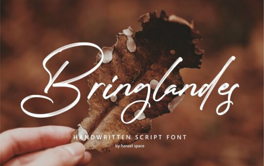 Bringlandes-Brush-Script-Font-1.jpg