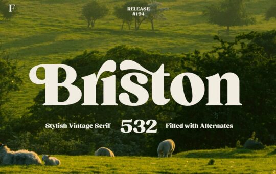 Briston-Bold-Serif-Font-1.jpg