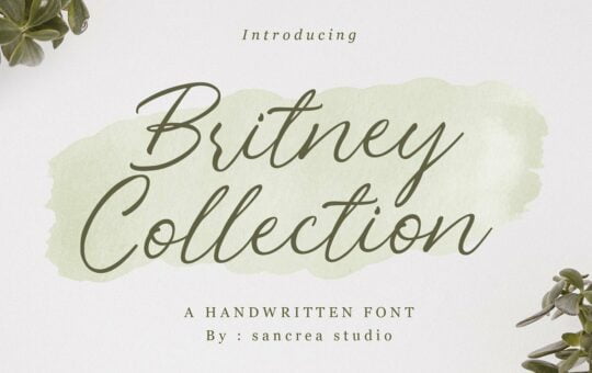 Britney-Collection-Handwritten-Script-Font.jpg