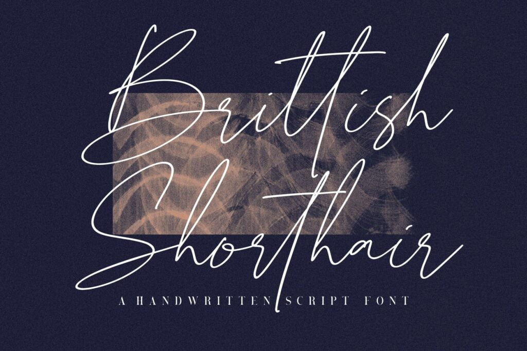Brittish-Shorthair-Script-1.jpg