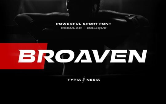 Broaven-Display-Font.jpg